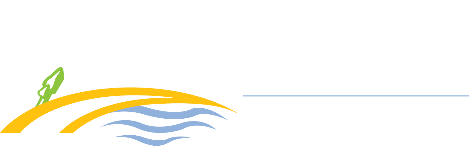 pdp logo hz 4c wht